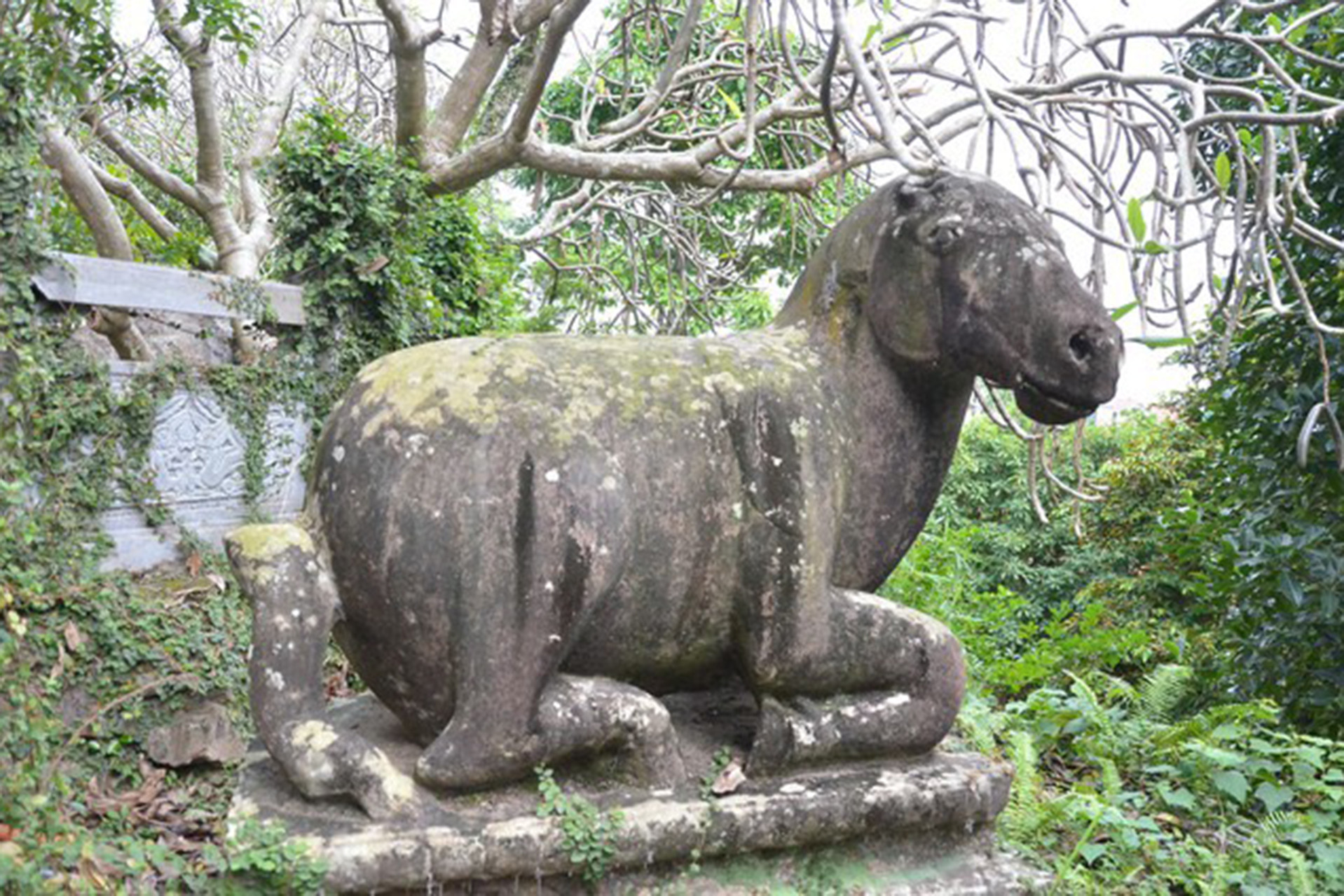 dieu khac con ngua.jpg