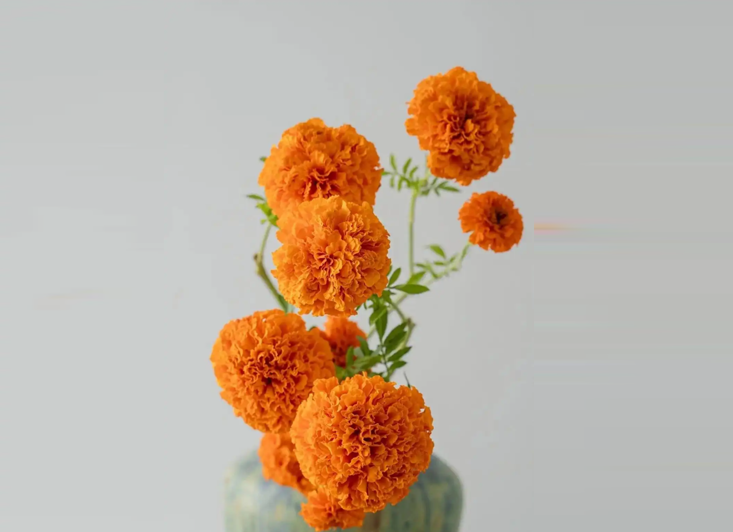 Hình 1 2026 02 02T210617.170.png