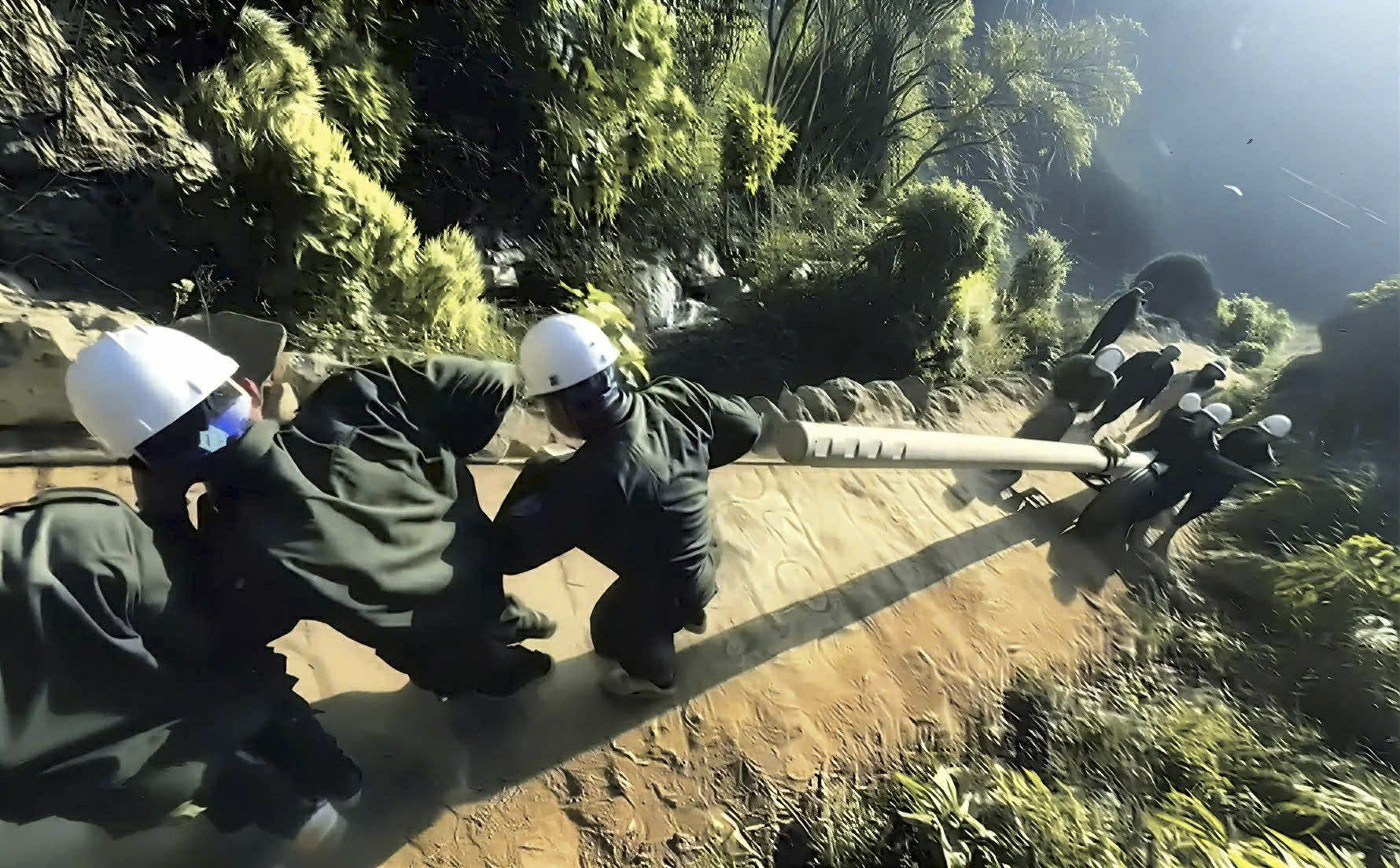 Kéo điện_3.jpg