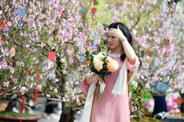 W-khong khi lanh HN Tet 2026 HHa 1.jpg