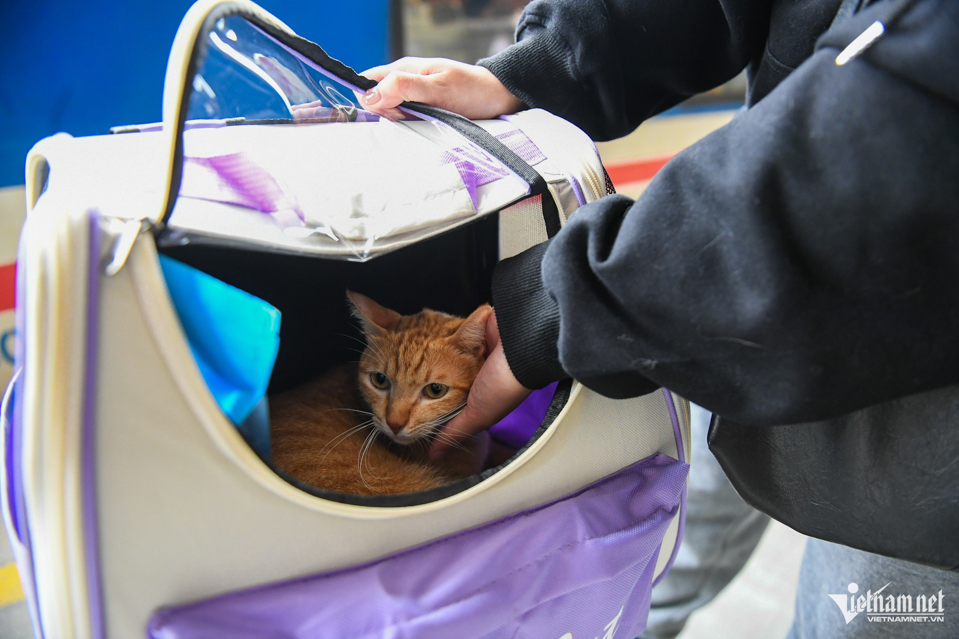 W-tau tet tet 2026 (12).jpg