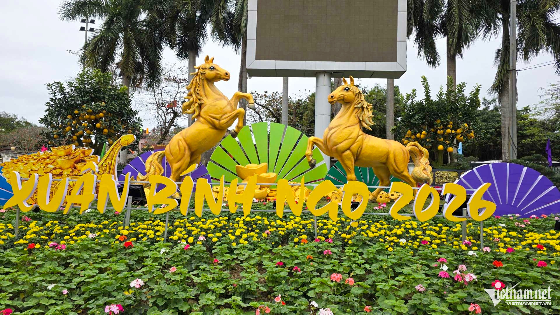 W-Thái nguyên hồi sinh sau lũ_2.JPG.jpg