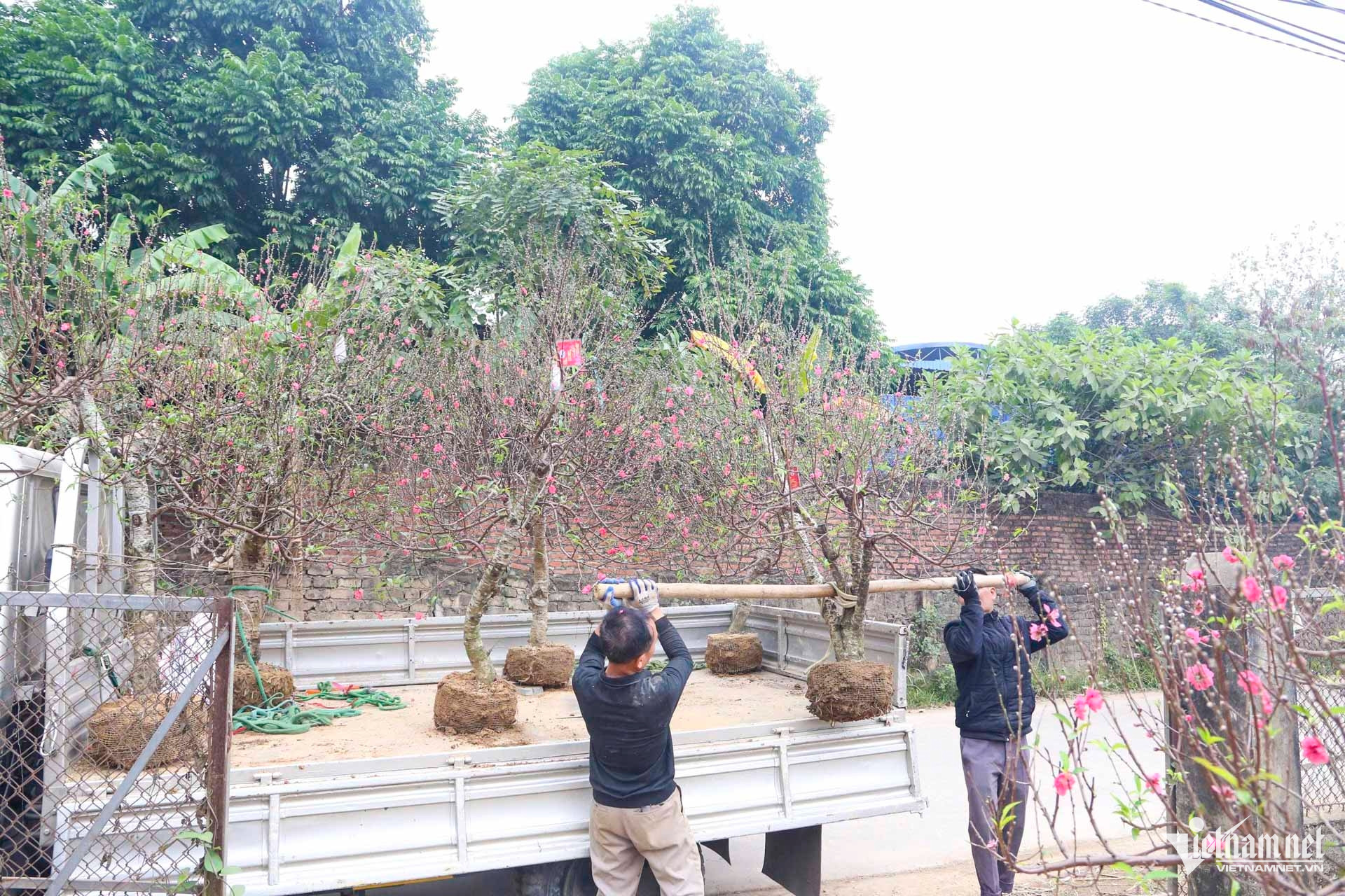 W-Thái nguyên hồi sinh sau lũ_8.JPG.jpg