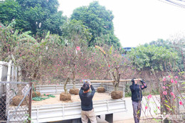 W-Thái nguyên hồi sinh sau lũ_8.JPG.jpg