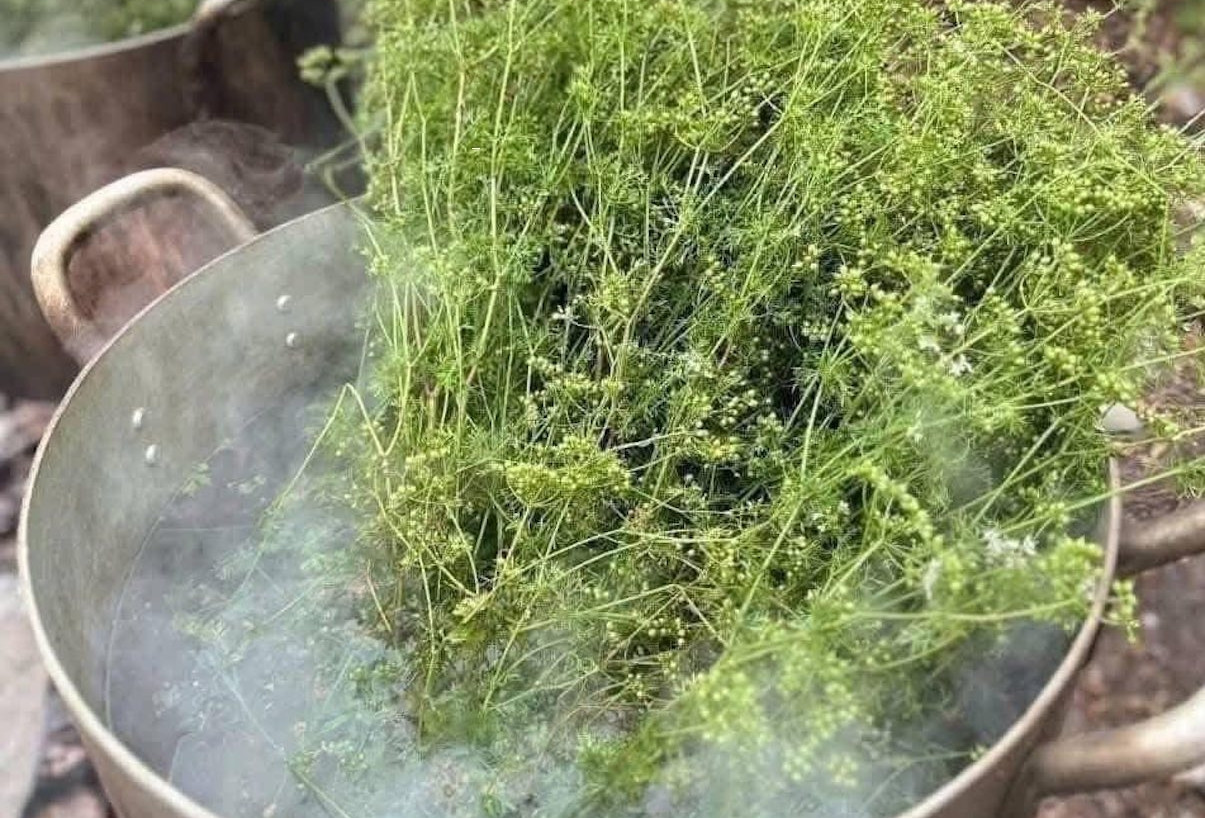 2 món thịt 'sợ nhất' của người mỡ máu cao, tăng huyết áp Xông lá mùi già ngày Tết, không phải ai cũng nên làm