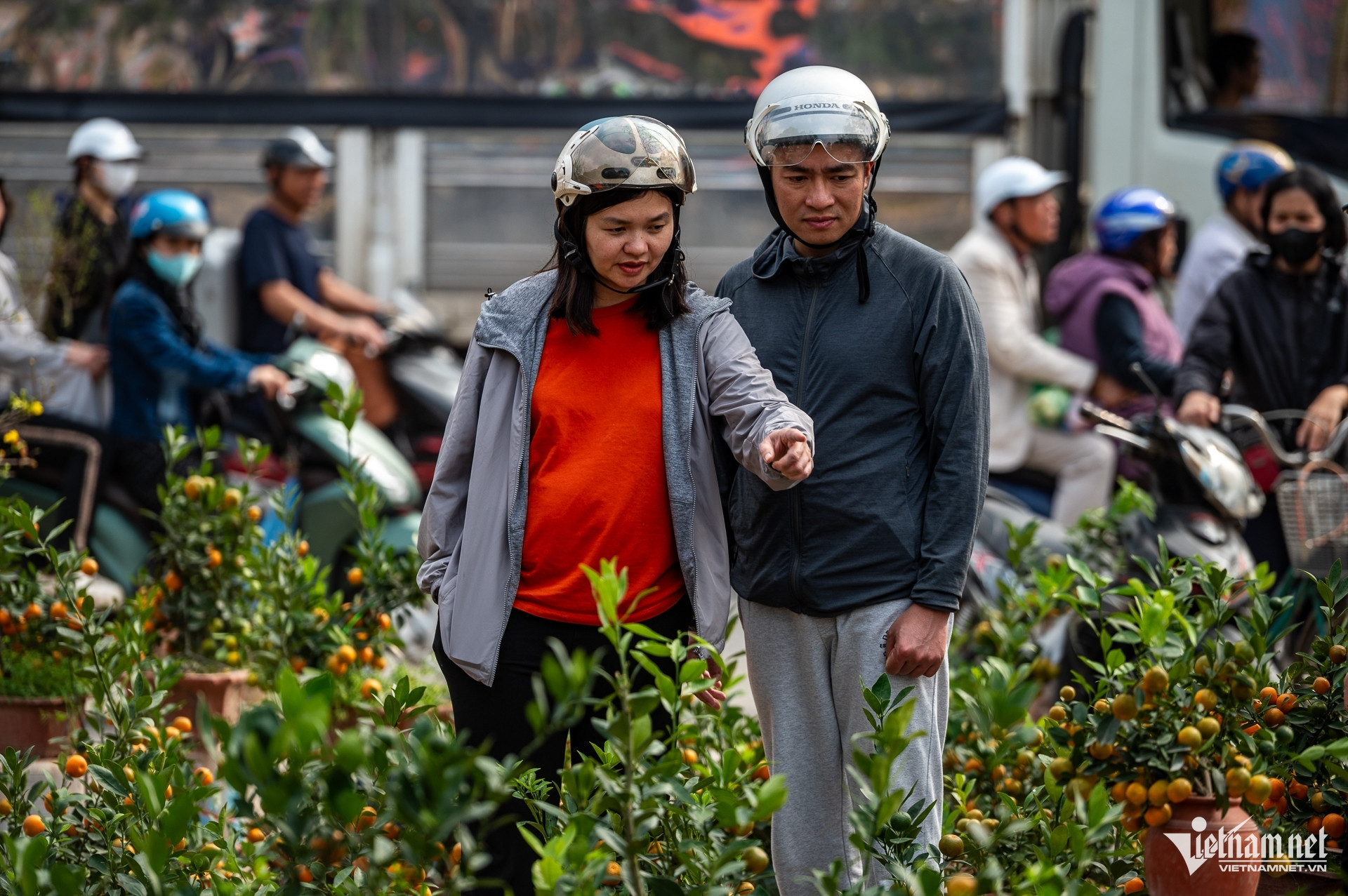 dao ha gia tran duc anh 14 1237.jpg