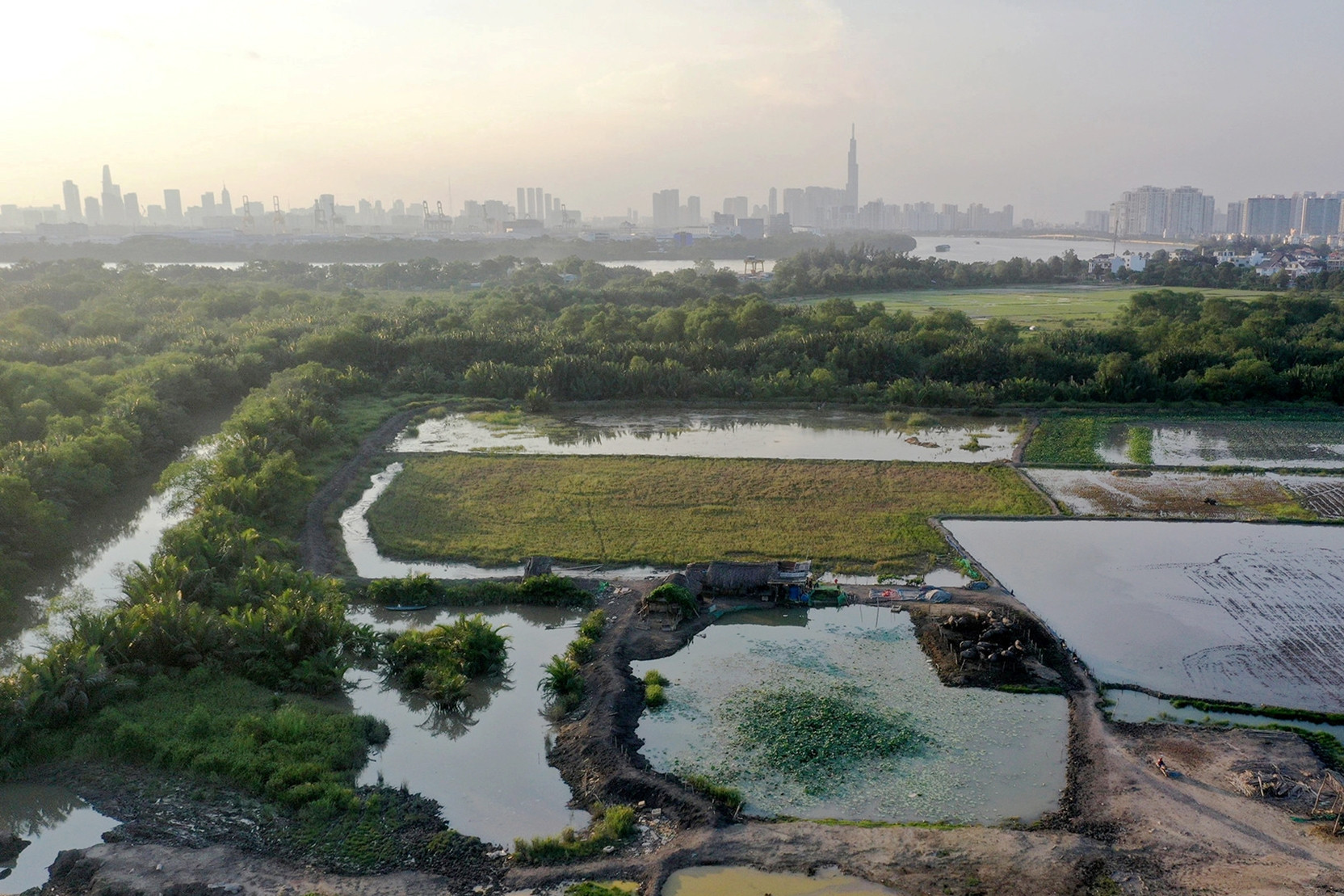 Đất gia đình chưa chia thừa kế, con trai lén làm sổ đỏ đứng tên riêng