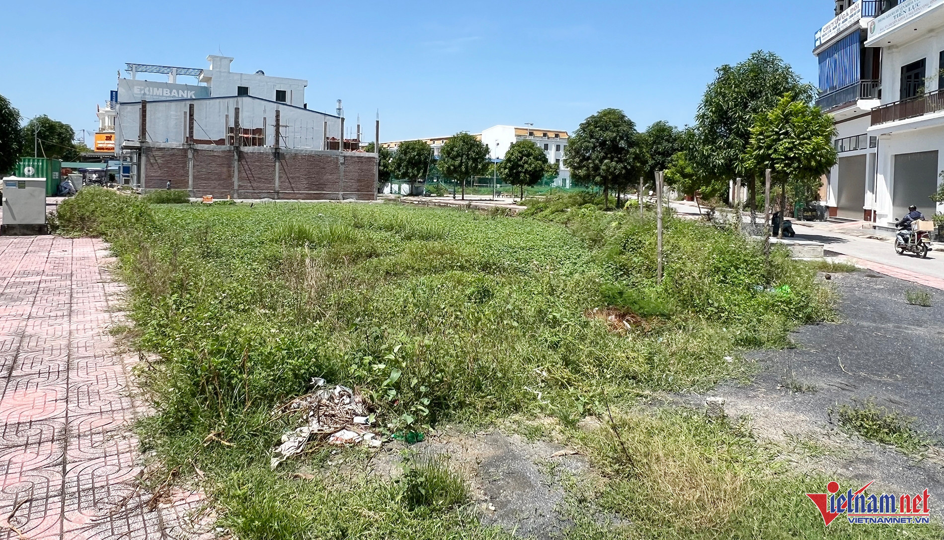 dau gia dat vietnamnet.jpg