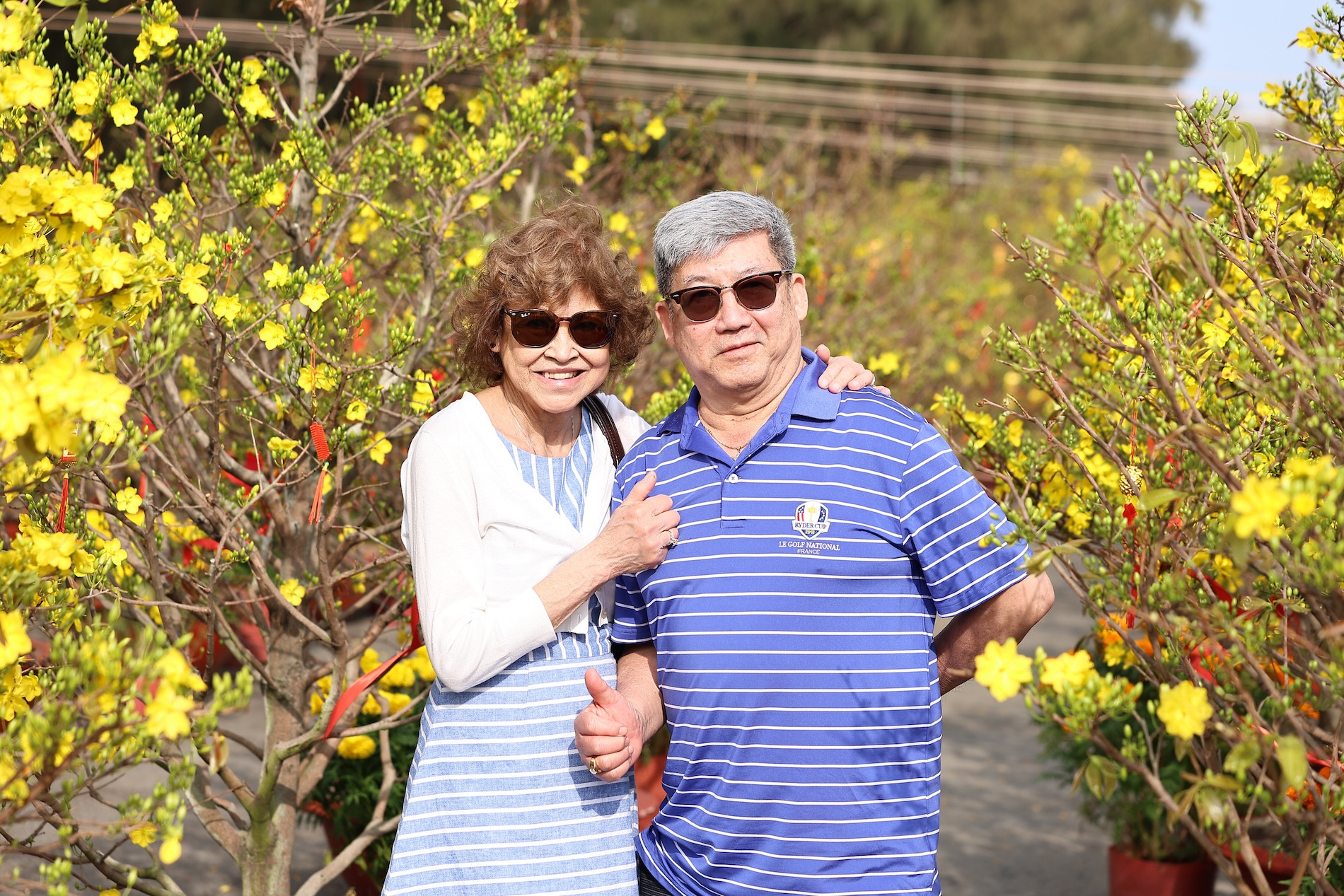 Green Paradise A6(2).JPG