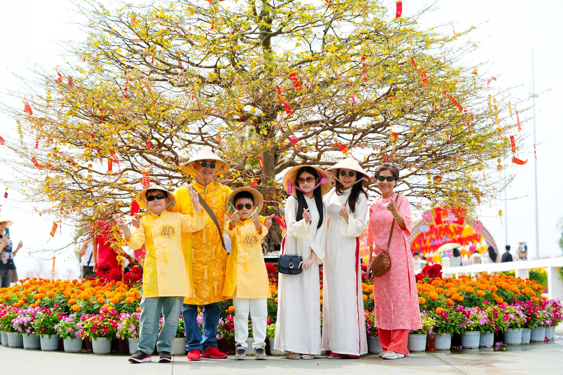 Green Paradise A7(1).jpg