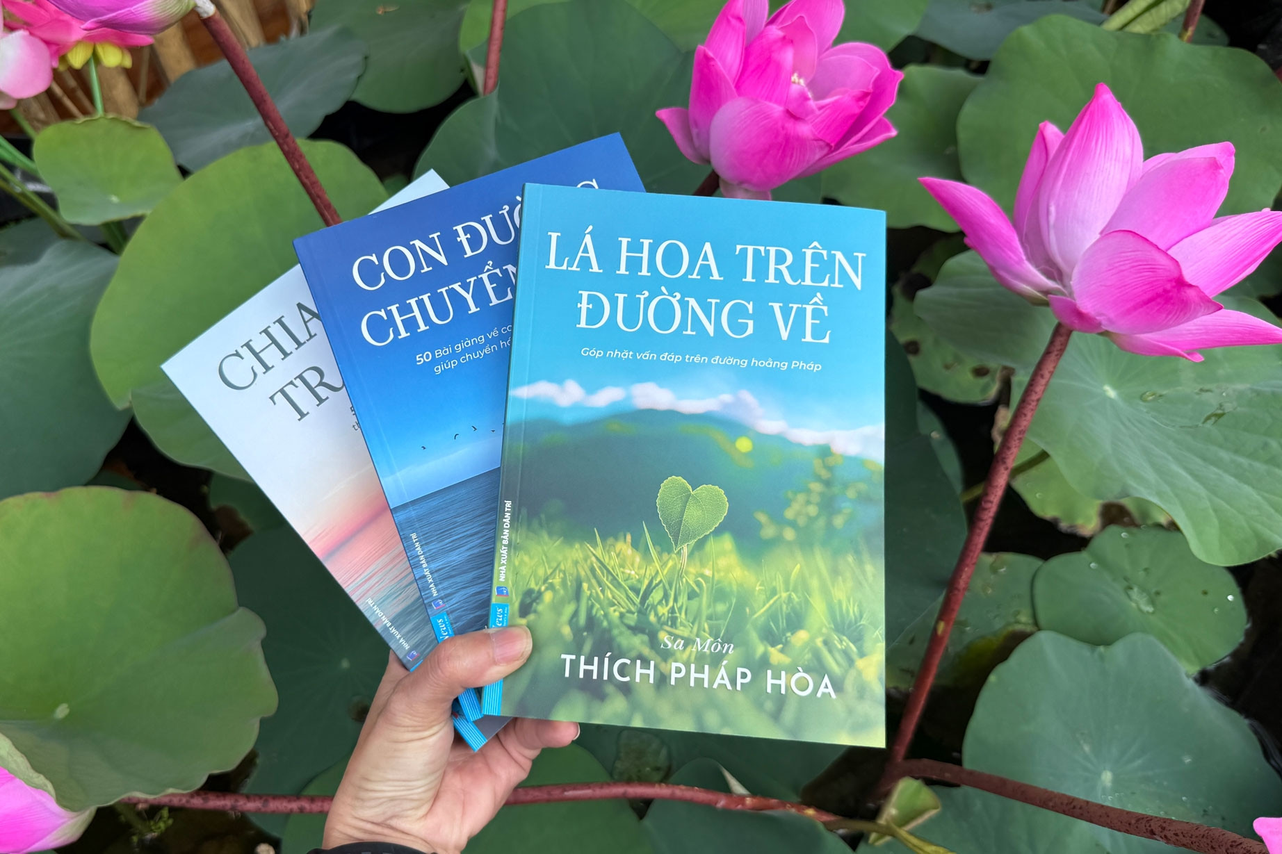 'Lá hoa trên đường về' - mở lối tỉnh thức giữa đời sống hiện đại