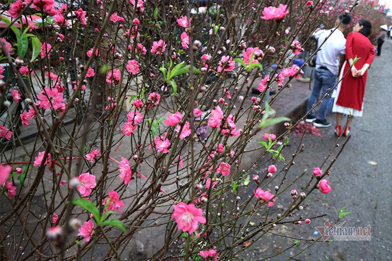 Văn khấn mùng 3 tết Bính Ngọ 2026 chuẩn phong tục truyền thống