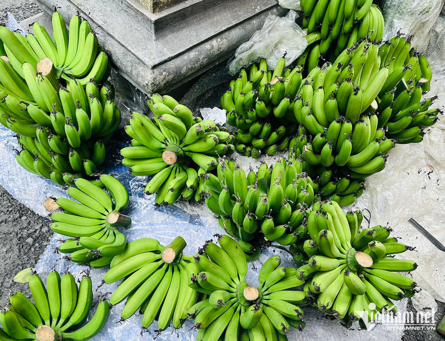 w chuoi xanh 1332.png