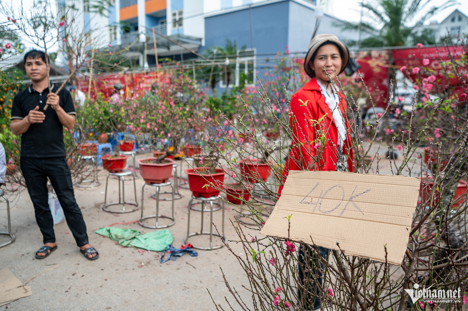 W-DAO HA GIA TRAN DUC ANH 10.jpg