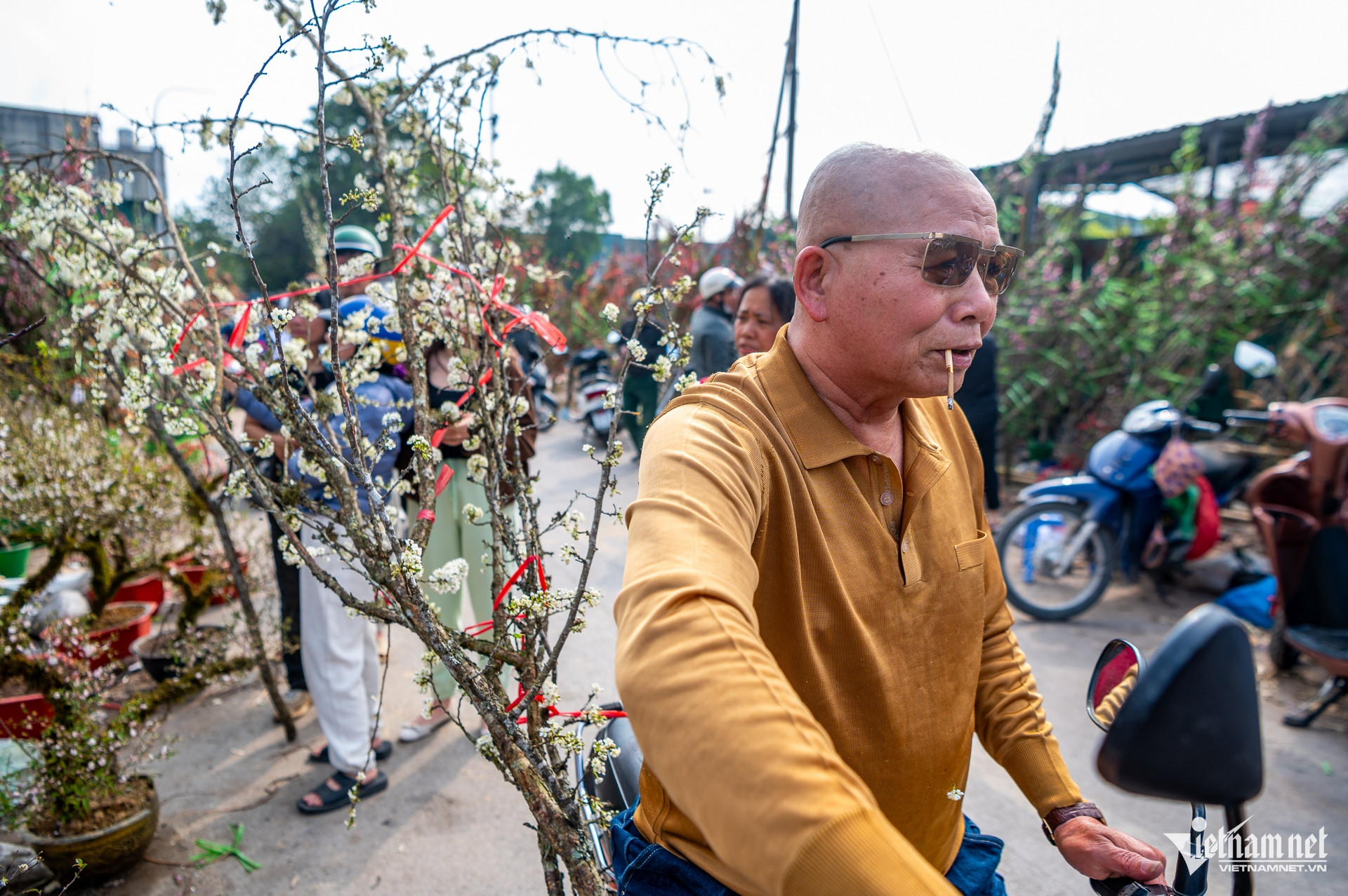 W-DAO HA GIA TRAN DUC ANH 11.jpg