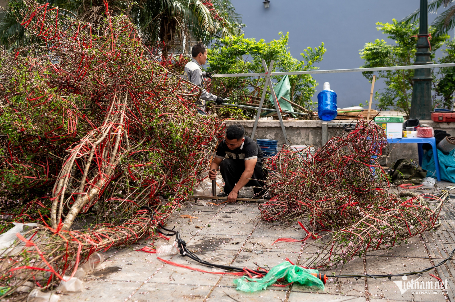 W-DAO HA GIA TRAN DUC ANH 2.jpg