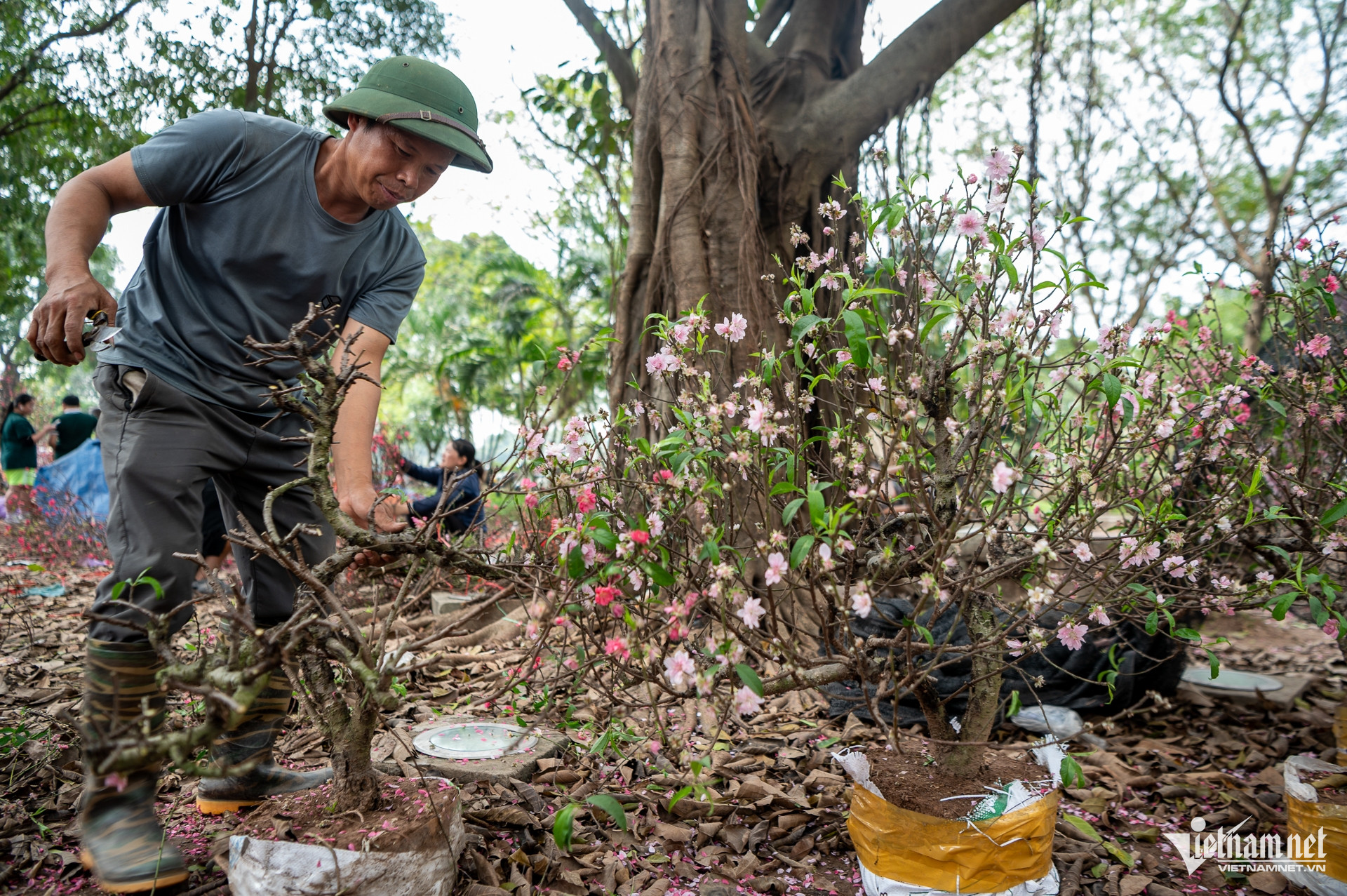 W-DAO HA GIA TRAN DUC ANH 4.jpg