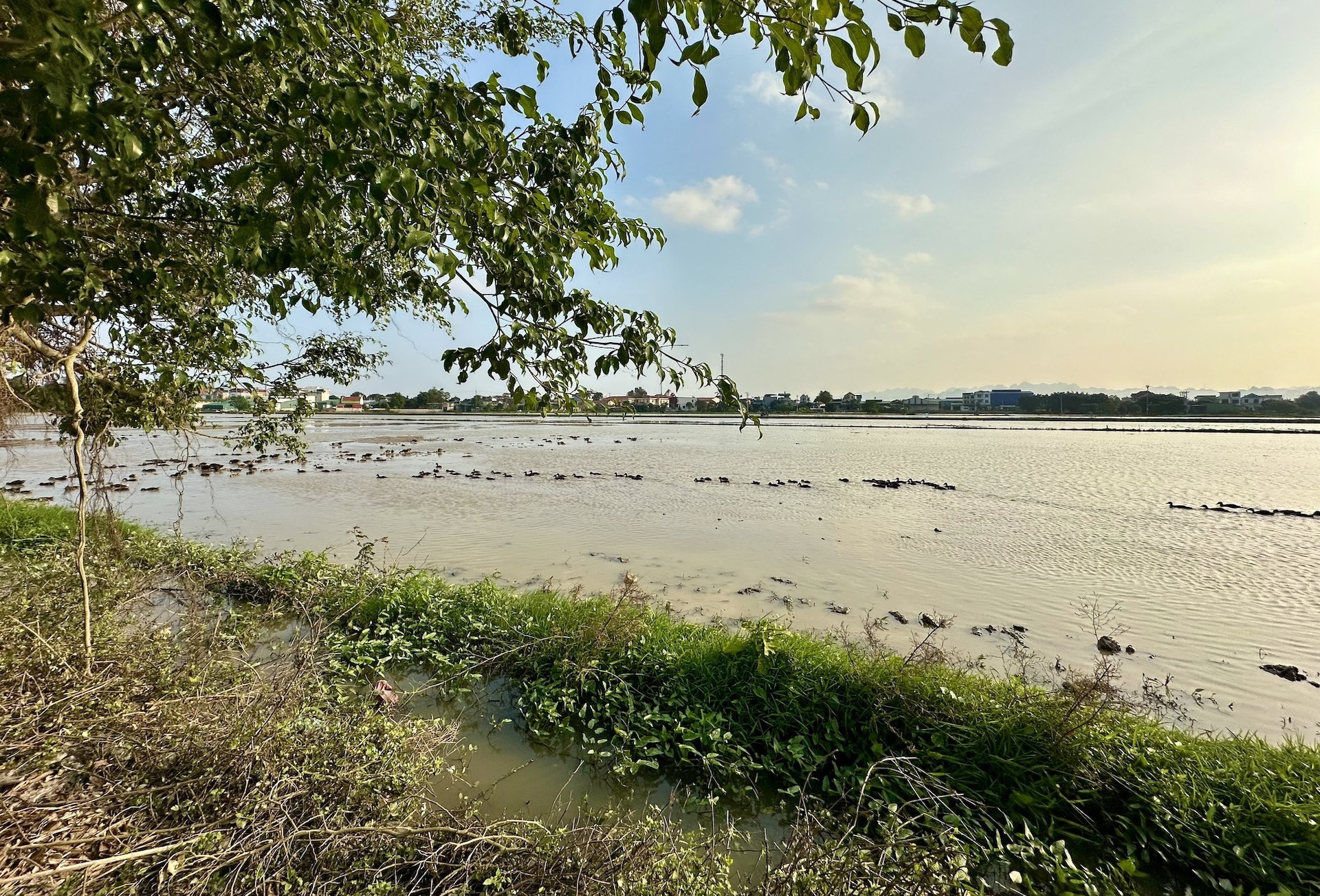 Bộ nói rõ việc tách thửa đất phải ‘đảm bảo có lối đi’