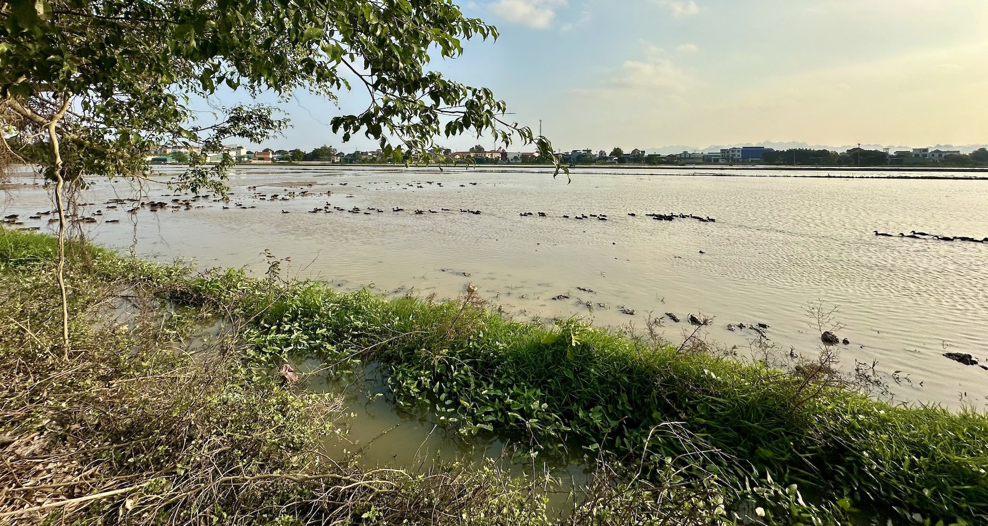 Bộ nói rõ việc tách thửa đất phải ‘đảm bảo có lối đi’