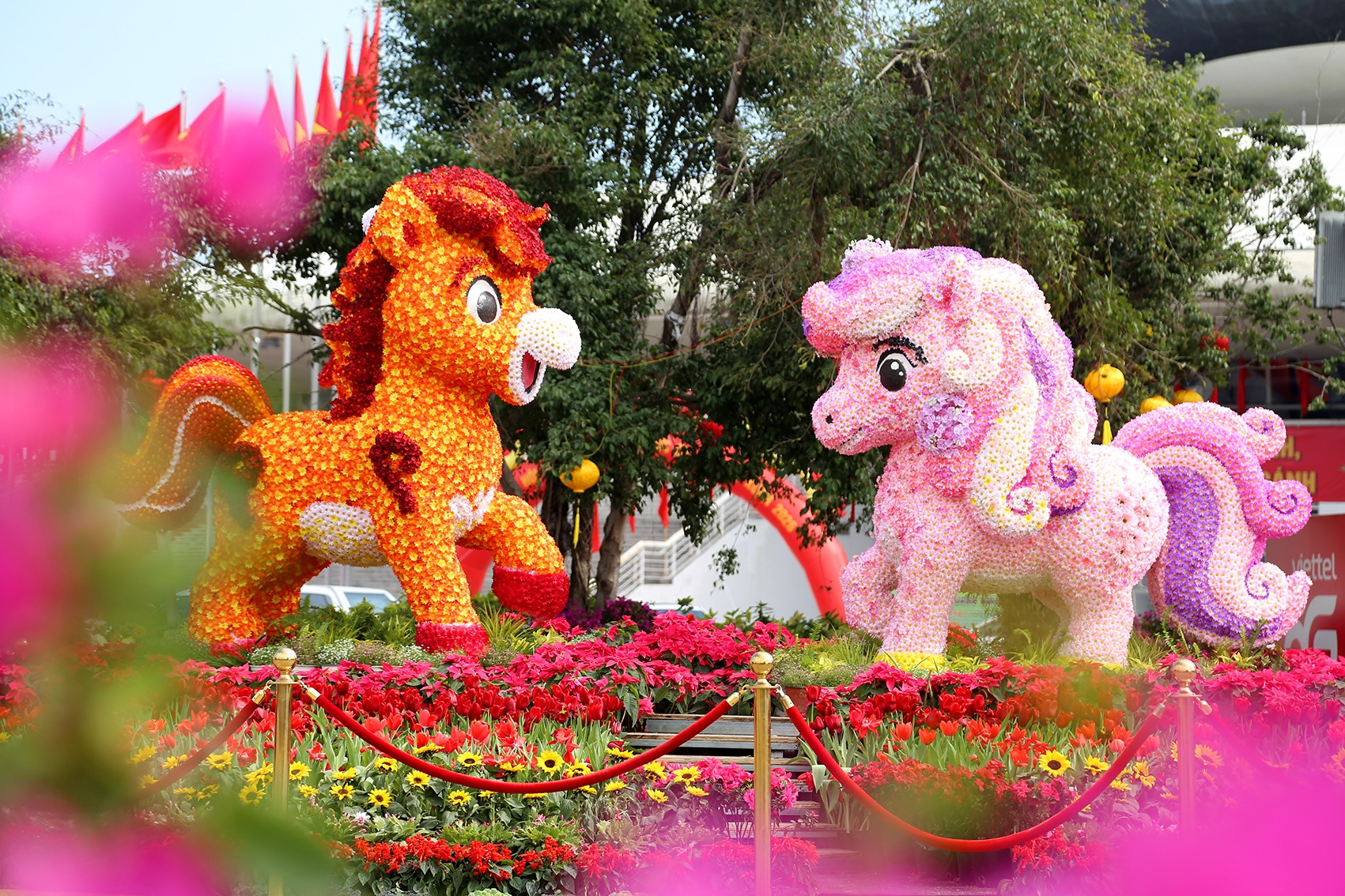 Đại lộ hoa bên vịnh Hạ Long rực rỡ sắc màu, hút khách du xuân