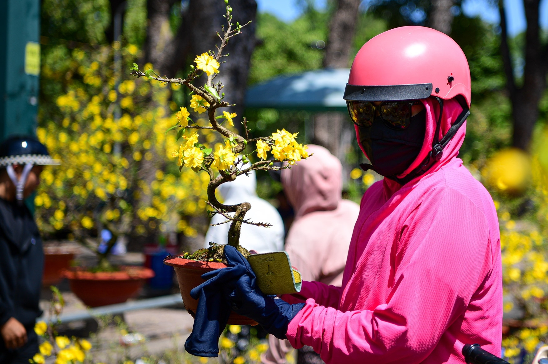 Mua hoa kiểu nhân cơ hội 'rẻ như cho' chiều 29 Tết ở TPHCM