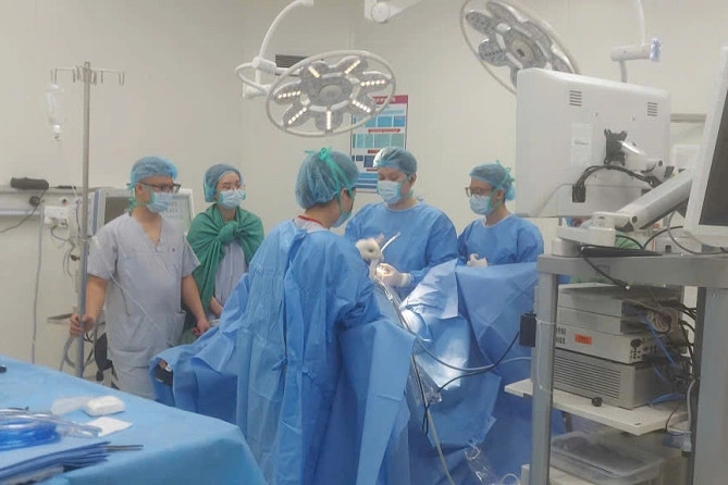 Về quê ăn Tết, người phụ nữ trọng thương do trâu húc