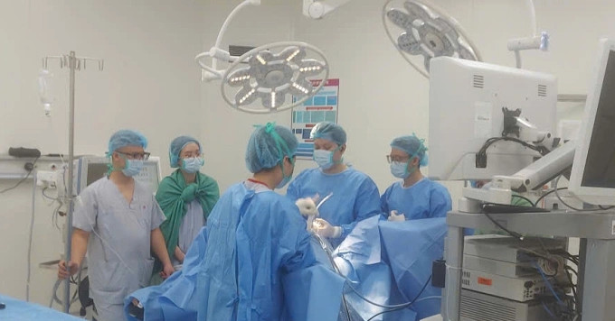 Về quê ăn Tết, người phụ nữ trọng thương do trâu húc