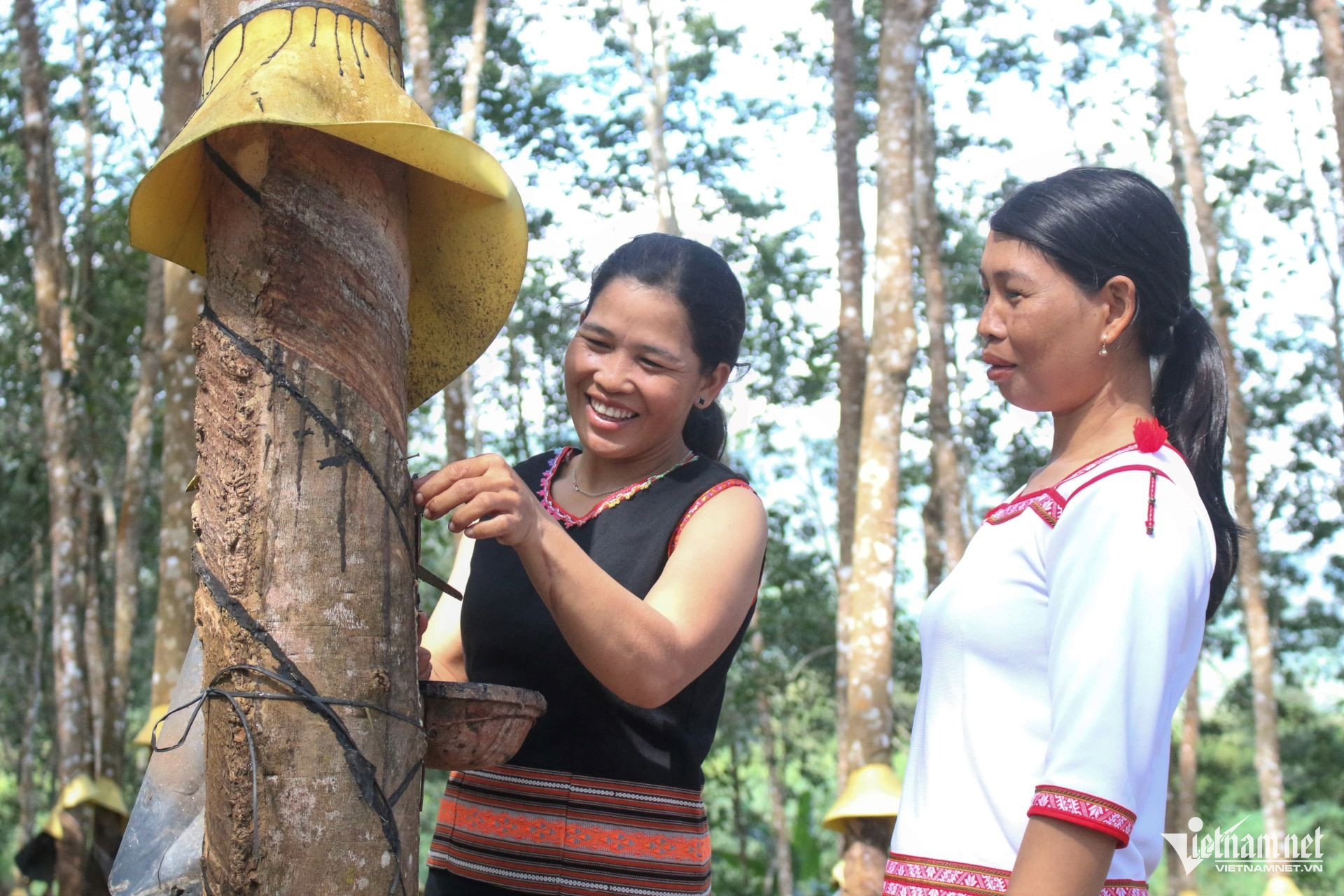 W-Chị Y Byun (bên trái) là một trong những người tiên phong ở làng Le từ bỏ cây lúa rẫy sang trồng cây cao su. (Ảnh: Ngọc Chí).jpg