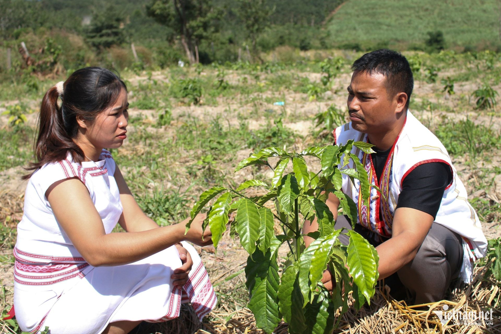 W-Chị Y Thơm (bên trái) được Nhà nước hỗ trợ trồng 3 sào cà phê và chị tự mua thêm trồng được gần 1ha. (Ảnh: Ngọc Chí).jpg