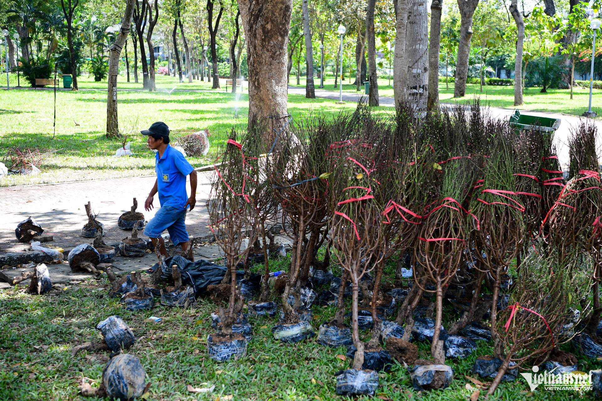 W-chợ hoa TPHCM tết Nguyễn Huế 3.jpg