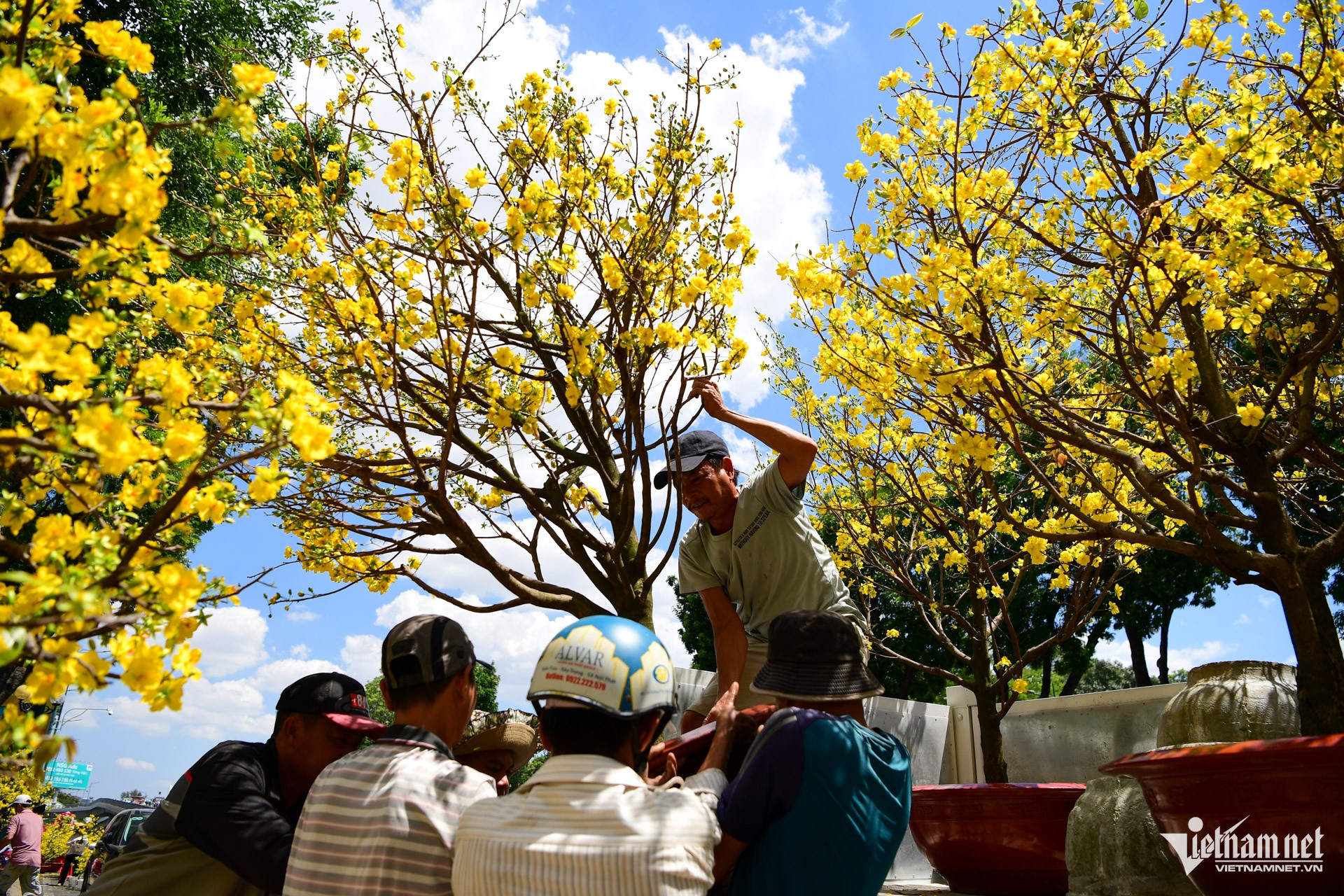 W-chợ hoa TPHCM tết Nguyễn Huế 8.jpg