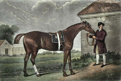 Eclipse(horse).jpg