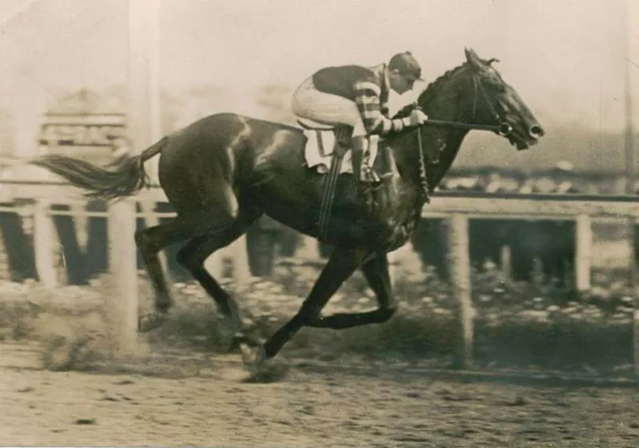 Man o War racehorse racing 1920s.jpg