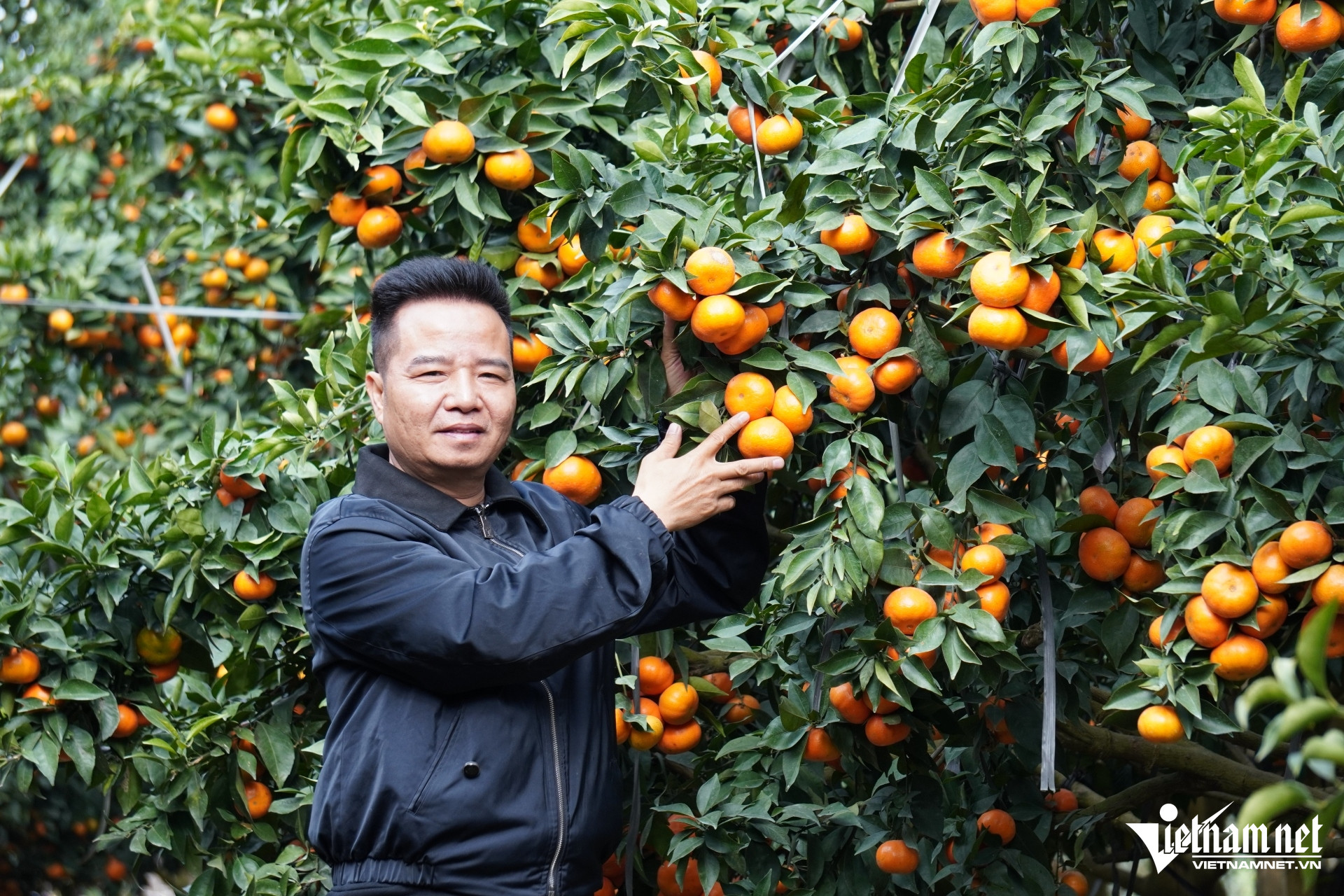 W-a1Nghệ nhân chầu văn biến 80ha.JPG.jpg