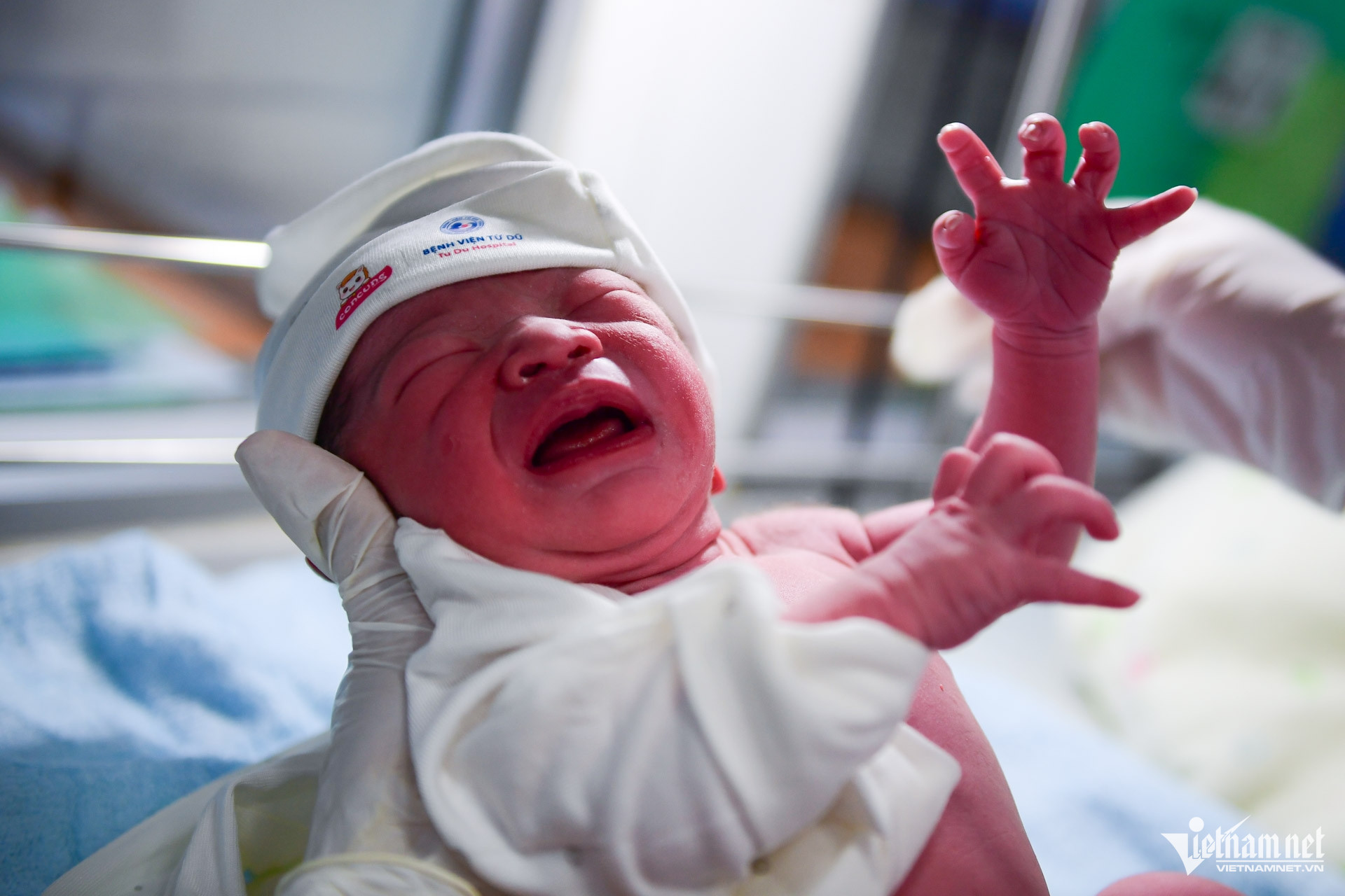 Box https://static-images.vnncdn.net/vps_images_publish/000001/000003/2026/2/17/w-sinh-de-26-488.jpg