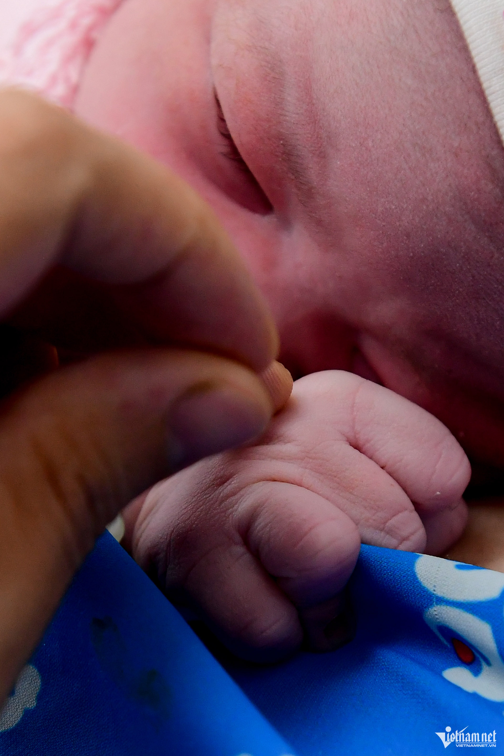 Box https://static-images.vnncdn.net/vps_images_publish/000001/000003/2026/2/17/w-sinh-de-5-481.jpg