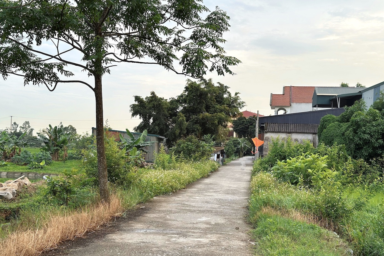 Bộ chỉ rõ quy trình giao đất ở với đất khai hoang chưa có sổ đỏ