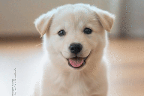 Chỉnh sửa ảnh bằng giọng nói trong nháy mắt ngay trên điện thoại Samsung Galaxy