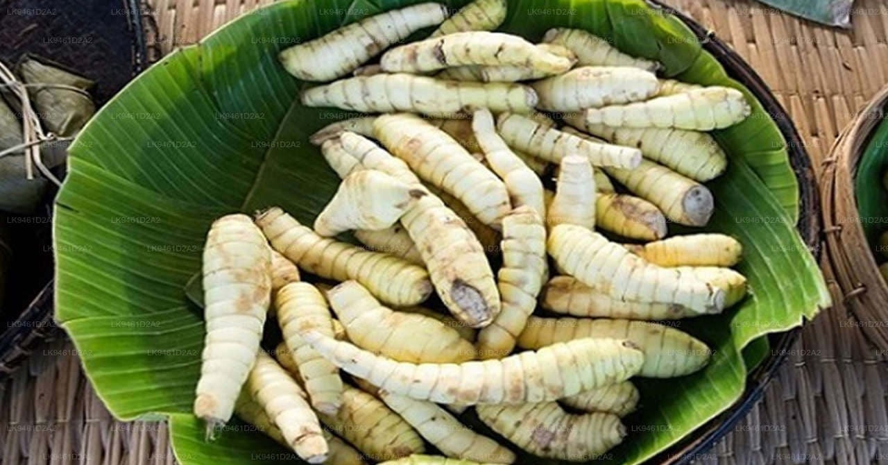 Loại củ bán đầy chợ giá rẻ bèo, hỗ trợ giải rượu hiệu quả