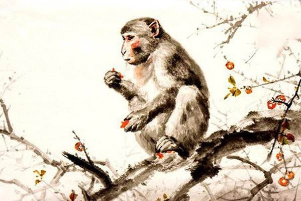 Tử vi tuổi Thân 2026 chi tiết từng năm sinh