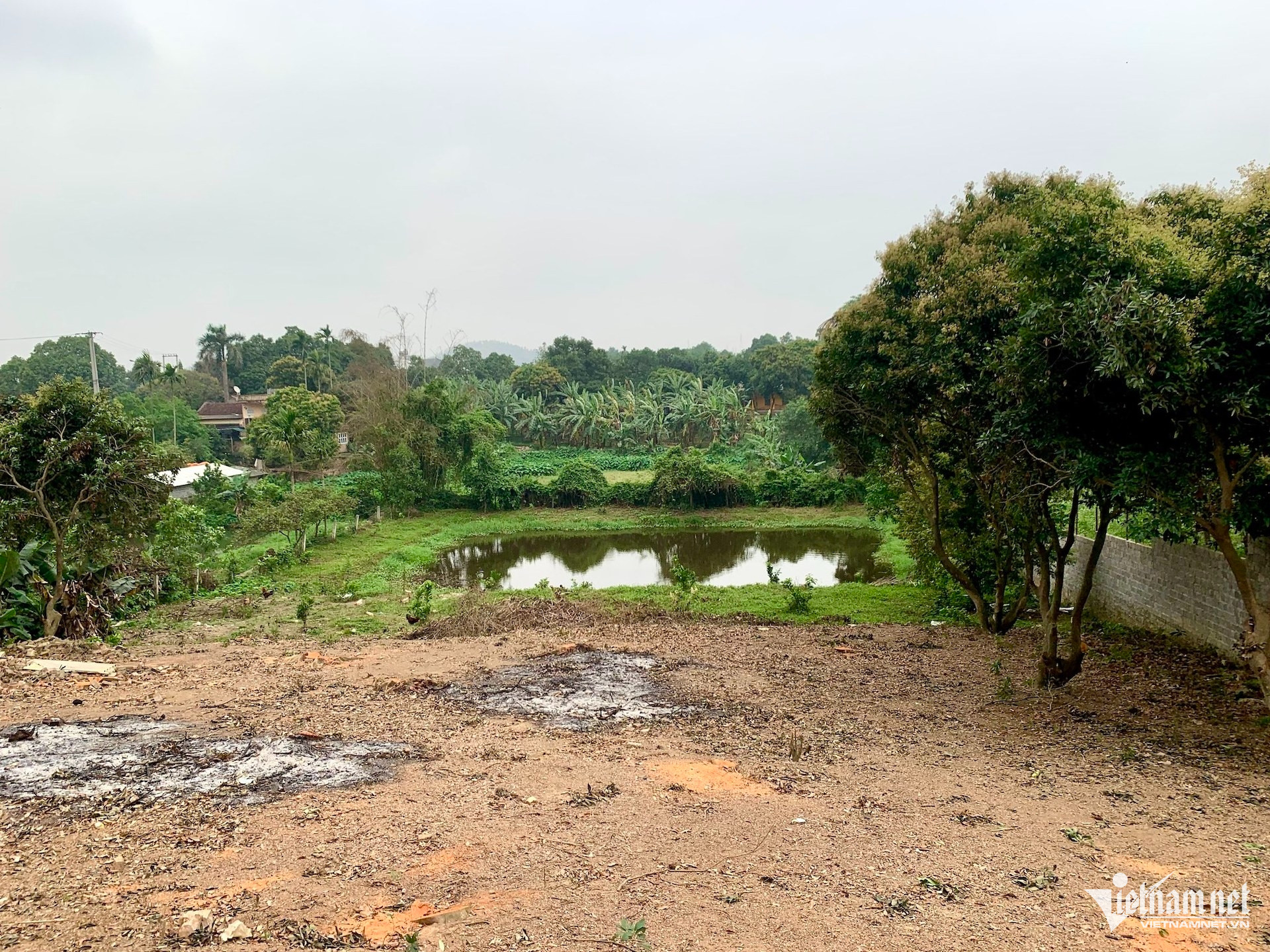 W-dat dai so do vietnamnet.jpg