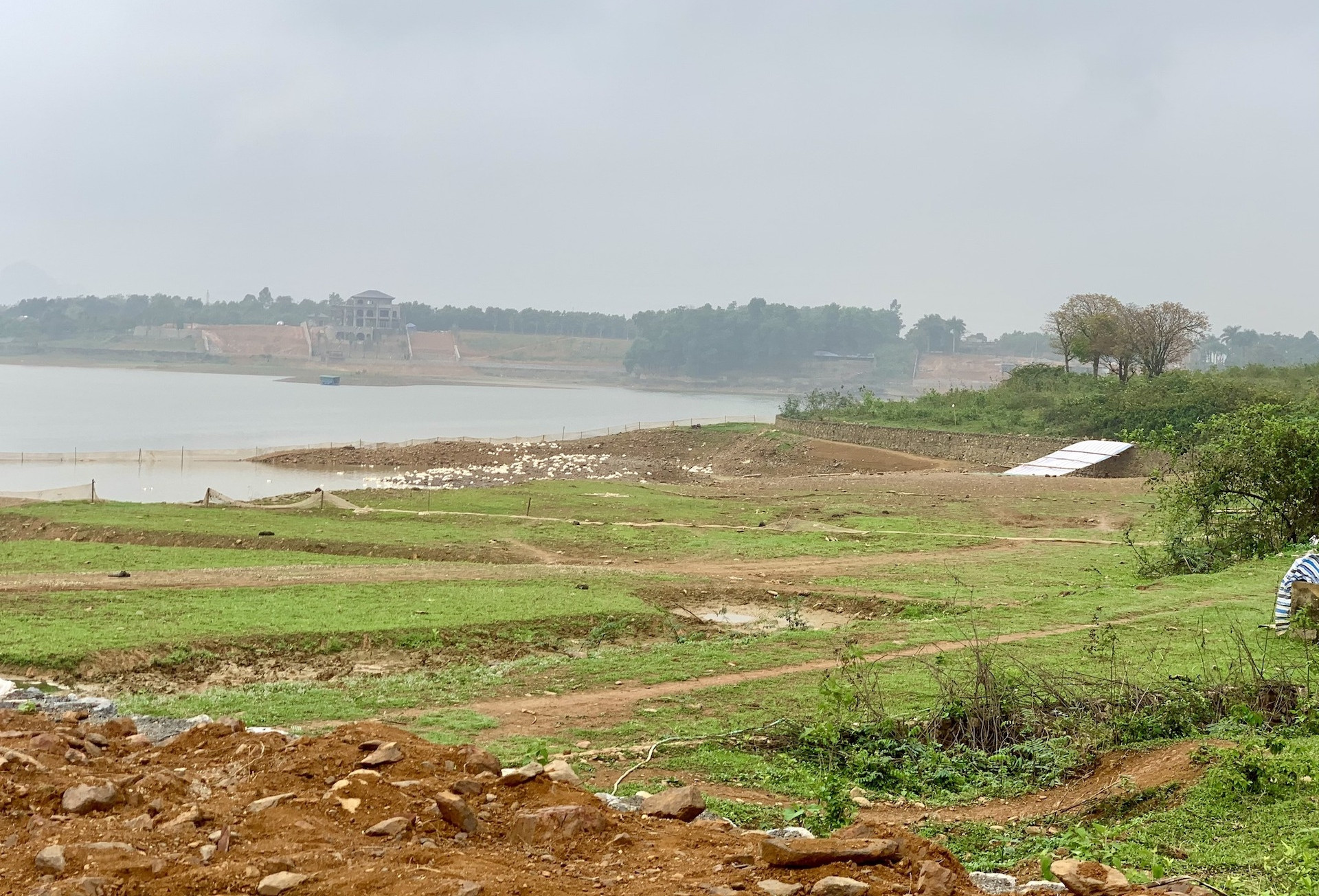 Đất giao từ 1989, mua bán bằng giấy viết tay: Có được cấp sổ đỏ?