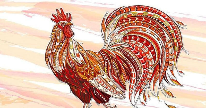 Tử vi tuổi Dậu năm 2026 chi tiết từng năm sinh