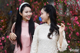 W-khong khi lanh HN Tet 2026 HHa 6.jpg