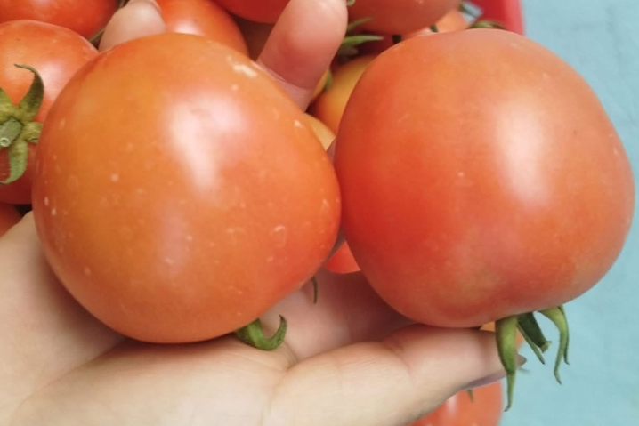 2 nhóm người cần hạn chế ăn cà chua