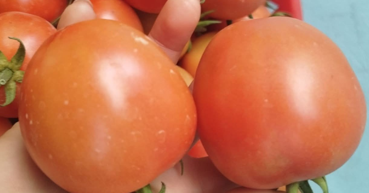 2 nhóm người cần hạn chế ăn cà chua