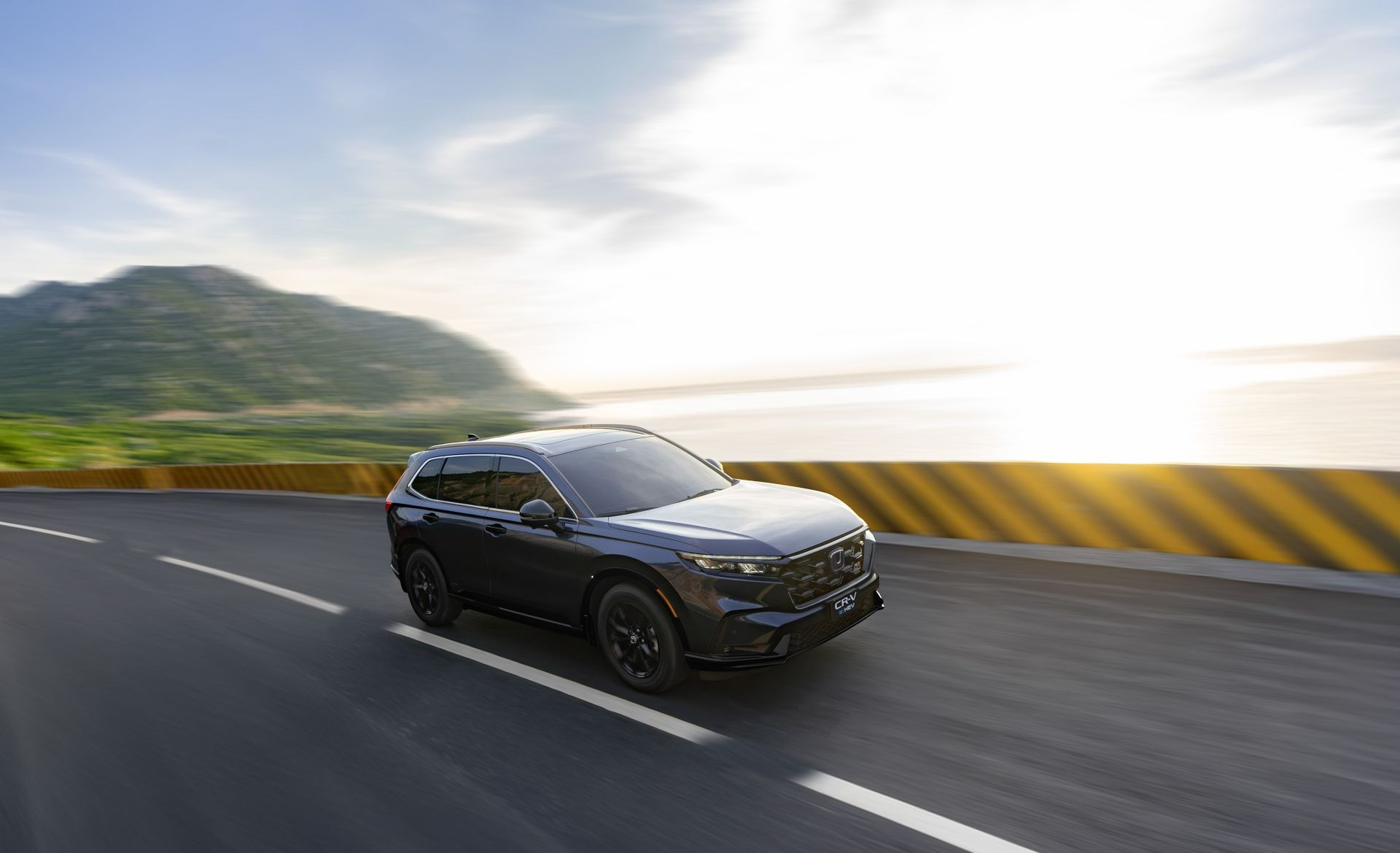 Bản sao của Pic1.jpg