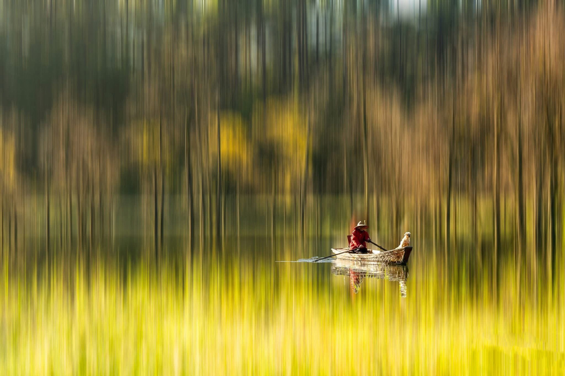 batch_Qua miền hư ảo   Đặng Hoài Anh.jpg