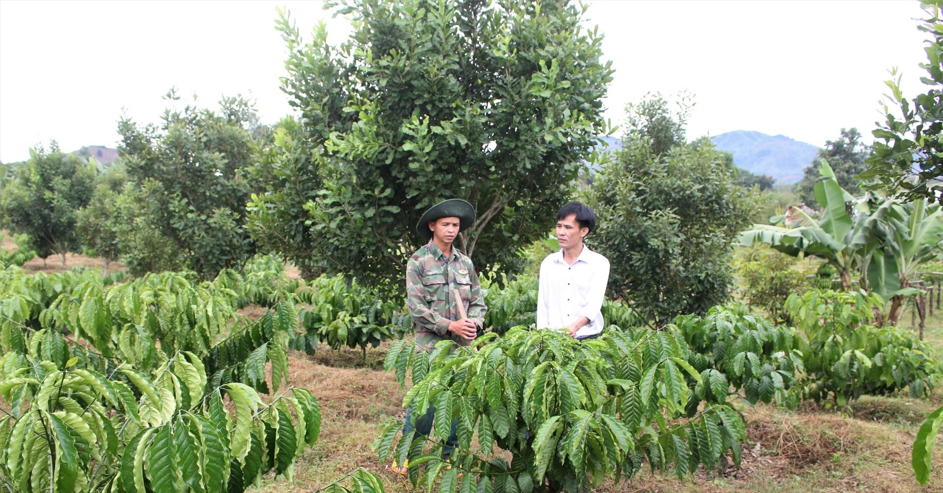 Những bí thư chi bộ trẻ làm thay đổi diện mạo vùng cao Quảng Ngãi