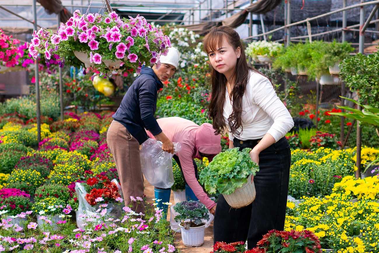 Thủ phủ cây cảnh miền Bắc nhộn nhịp, người dân đổ về mua hoa chơi Tết sớm